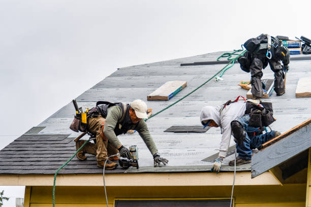 Professional Flat Roof Repair technician working in Harvard, IL